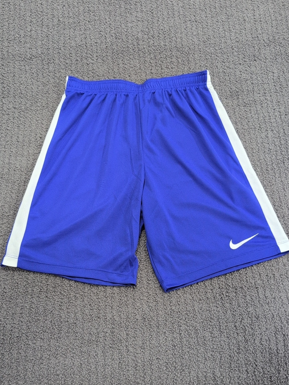 Nike Dri-Fit Royal Blue Athletic Shorts with White Side Panels